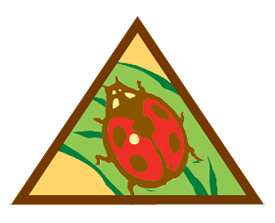 Brownie Bugs Badge