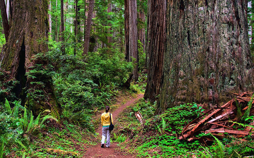 8 Outdoor Experiences for Girl Scouts in Northern California National Parks